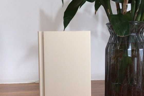 Linea di produzione Manunal Oxidation con una capacità di approvvigionamento mensile di 900 tonnellate