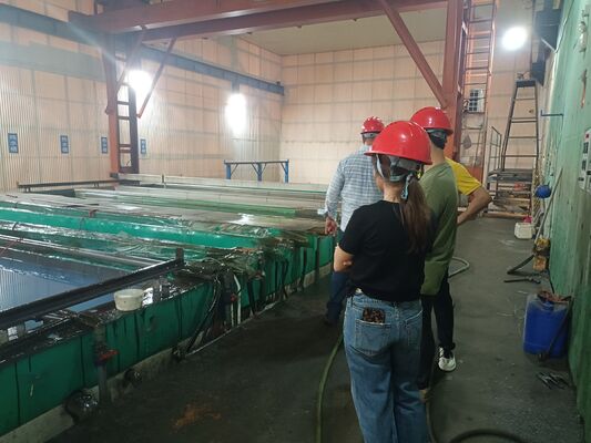 Prezzo buono CDEY Special Lifting Overhead Crane per la linea di ossidazione anodizzante dell'alluminio. in linea